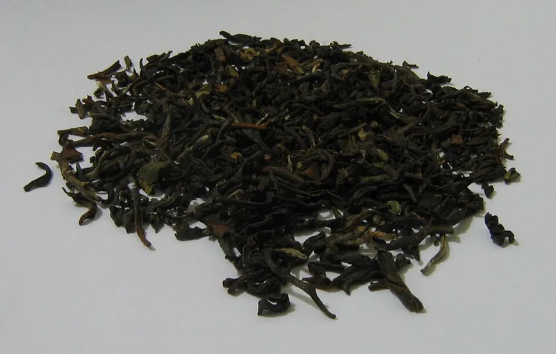 Fifty Weeks of American Leaves: My Season Drinking Only USA-Grown Tea